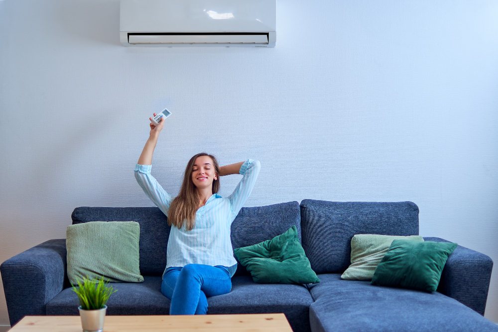 Ductless Mini-Split Systems