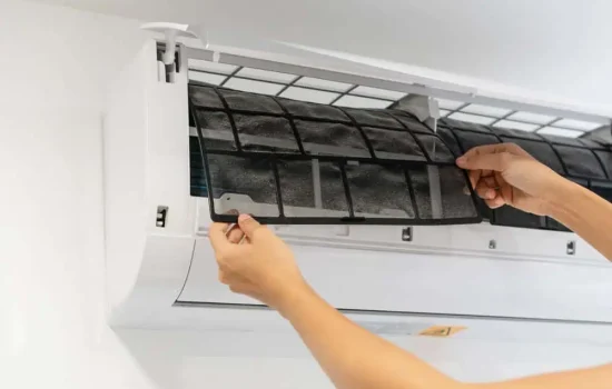 shutterstock_1933151507